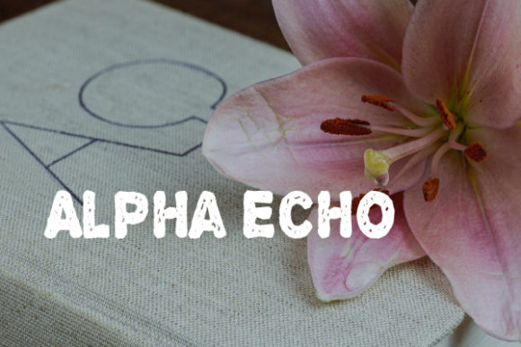 Alpha Echo: The Shredded Display Font for Bold Campaigns