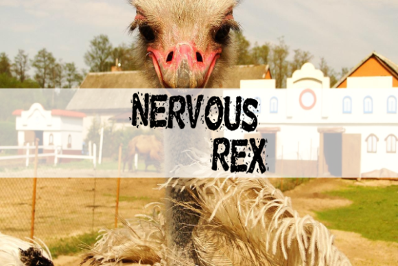 Nervous Rex Display Font for Bold, Playful Branding