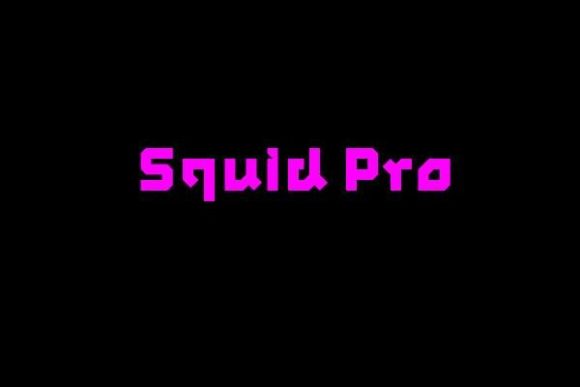Squid Display Font for Bold Web Headlines